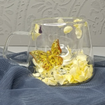لیوان دوجداره پیرکس پروانه ای